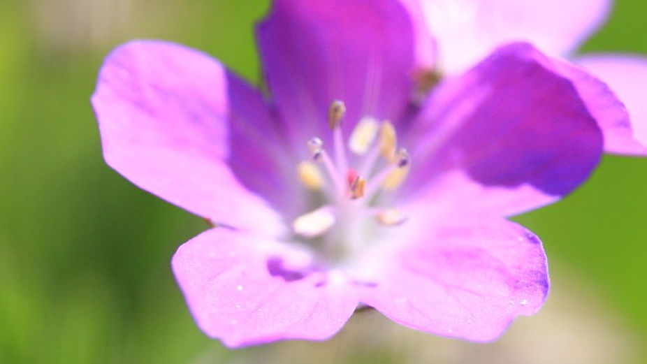 Ausbildung Energetisches Clearing